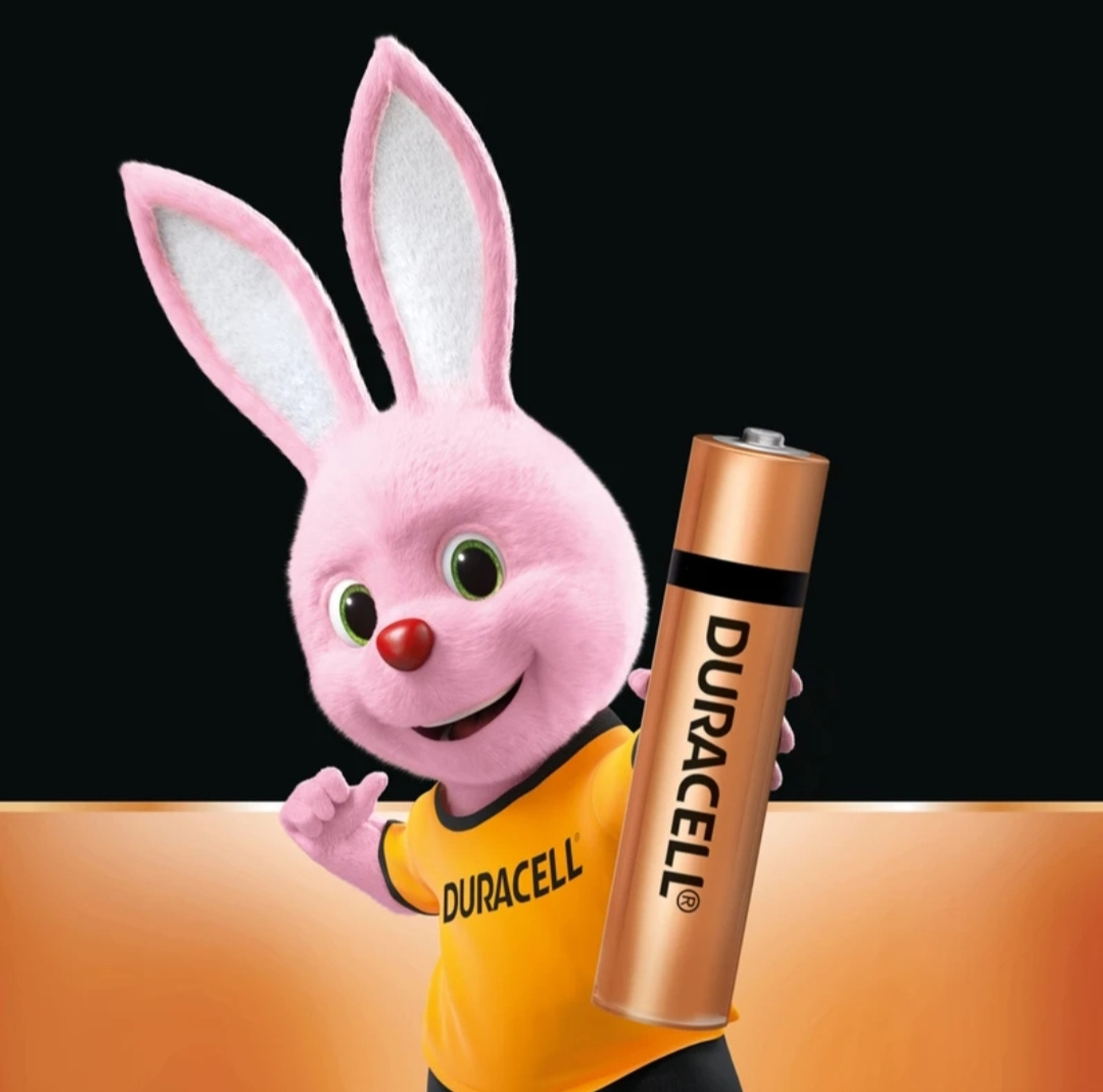 Image of DURACELL Alkaline AAA, Everyday Devices, Clock, Toy, Remote Battery (Pack of 10)