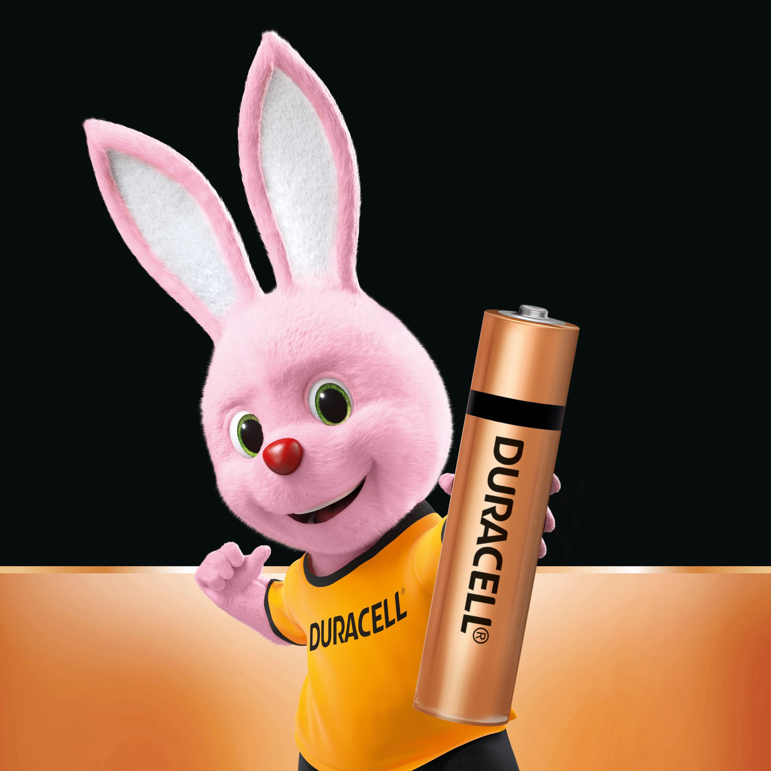 Image of DURACELL Alkaline AAA Battery