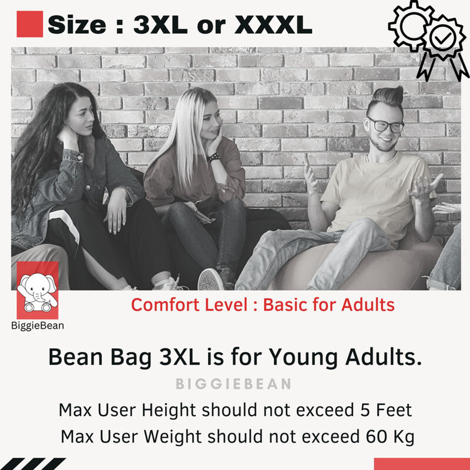 Image of Biggie XXXL PrintPuff Seats with Cushion and Footrest Teardrop Bean Bag With Bean Filling