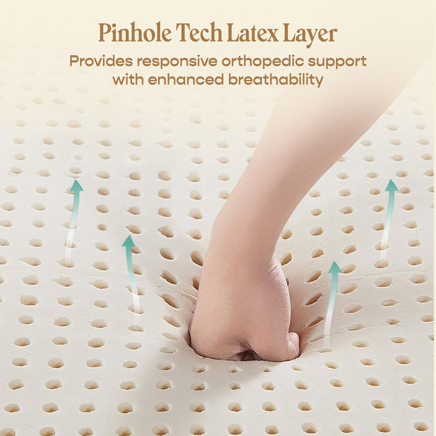Image of SleepyCat Latex Orthopedic 6 inch Double Latex Foam Mattress