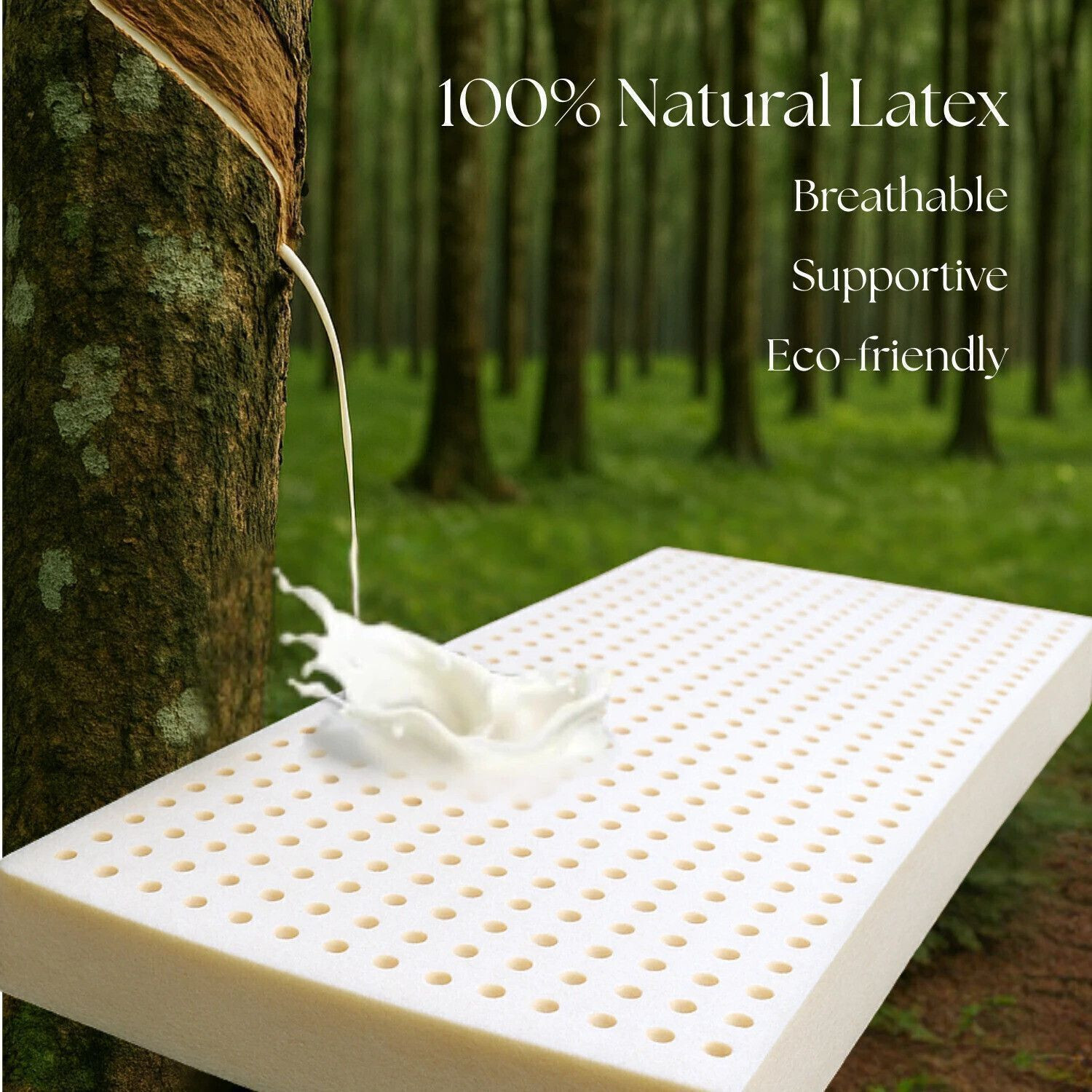 Image of Aeronix Latex-Ortho Reversible Foam Comfort & Orthopedic Mattress 5 inch King High Resilience (HR) Foam Mattress