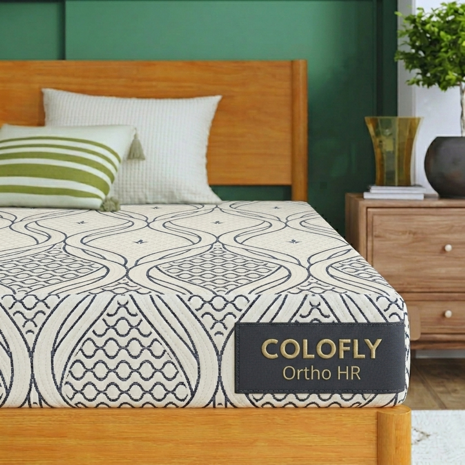 Image of COLOFLY Ortho HR Dual Comfort Reversible Mattress 3 inch Single High Resilience (HR) Foam Mattress