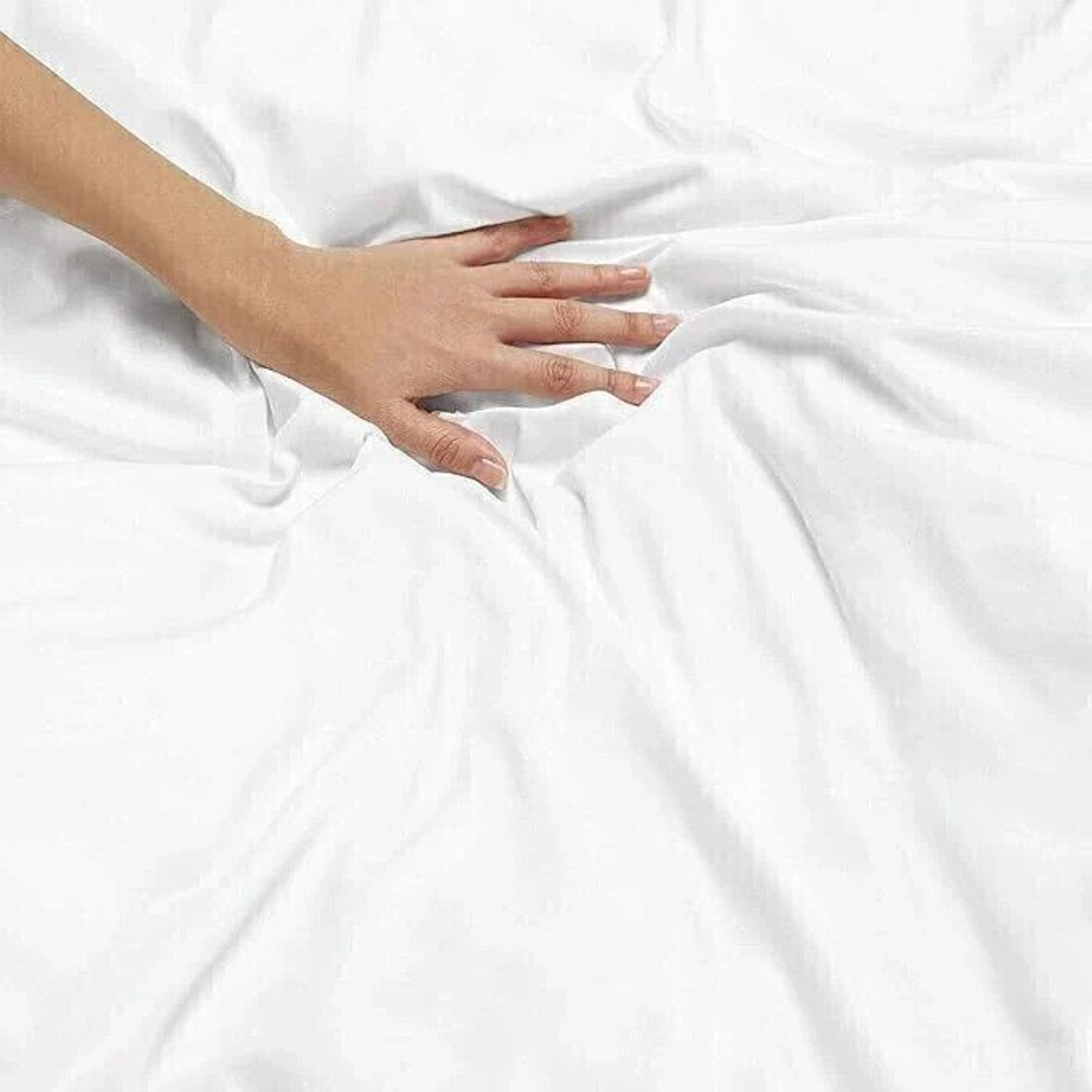 Image of lacoza Cotton Blend Double Flat 400 TC Solid 1 Bedsheet with 2 Pillow Covers