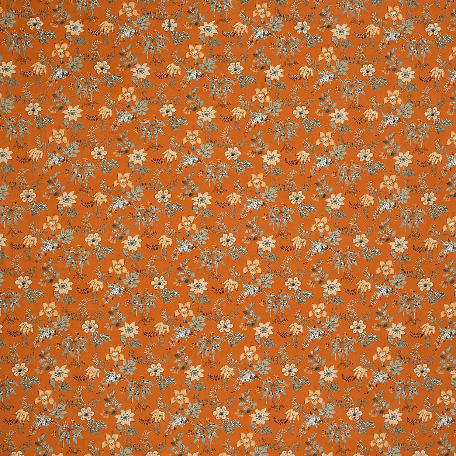 Image of SCHp Cotton Single Fitted (Elastic) 320 TC Printed 1 Bedsheet