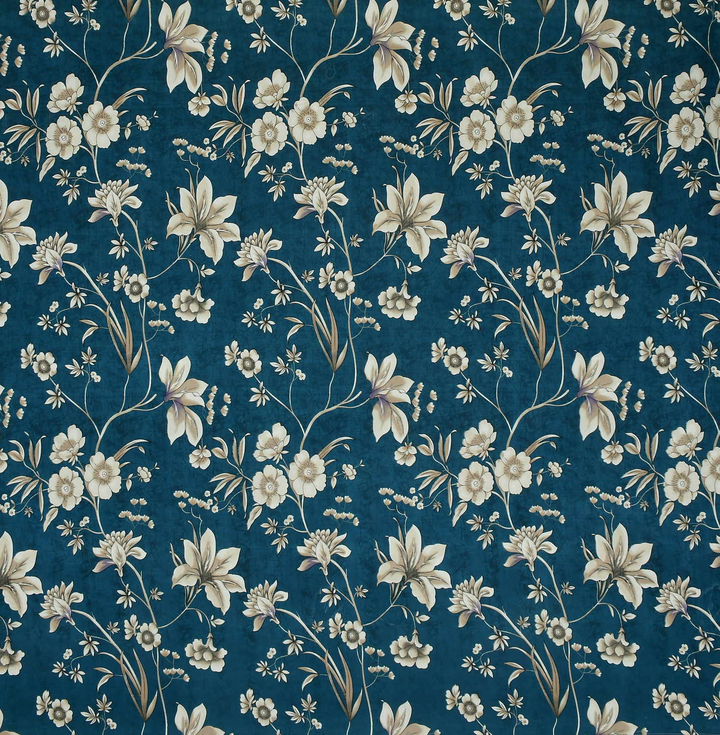 Image of SCHp Cotton Double Fitted (Elastic) 320 TC Printed 1 Bedsheet