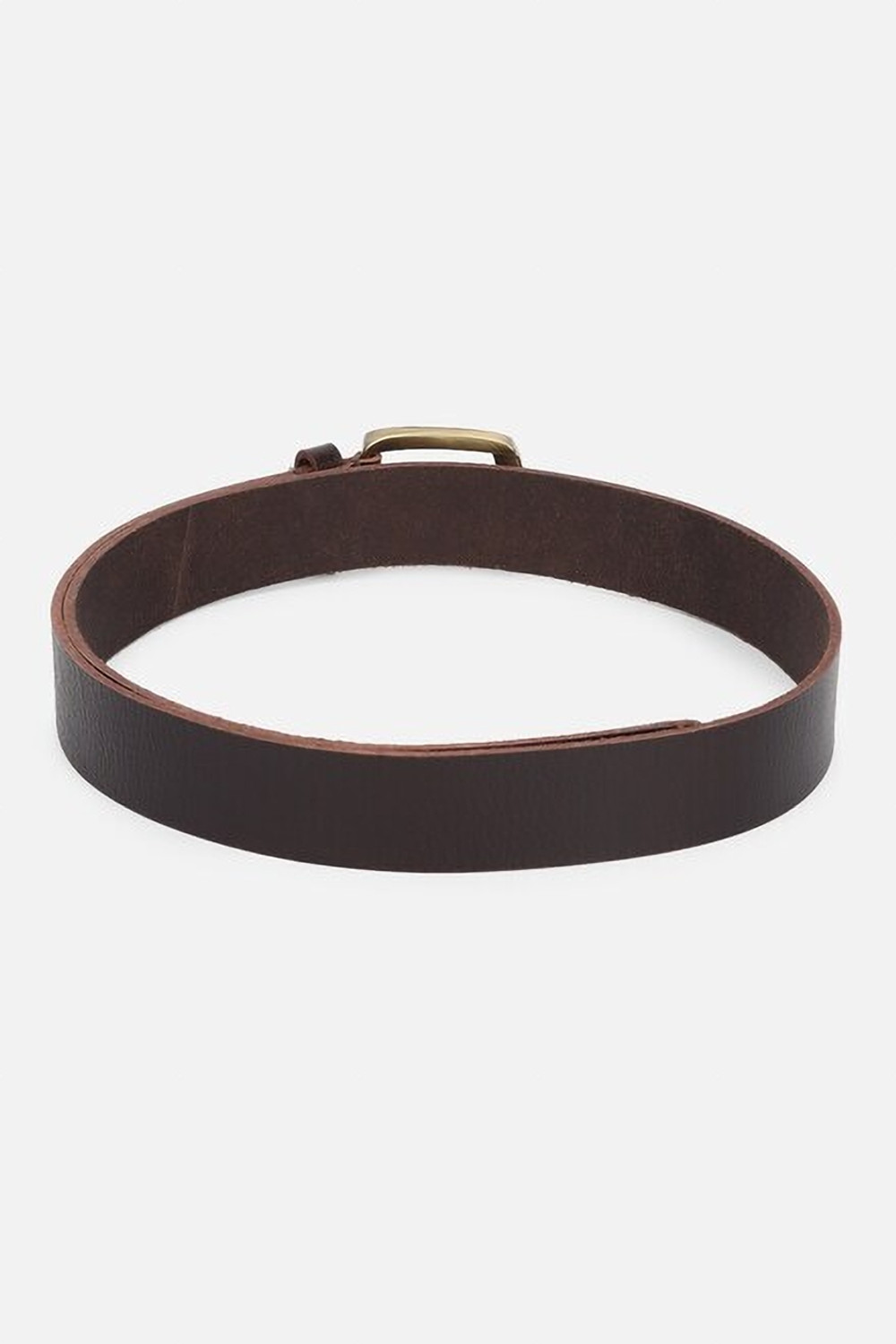 Image of LOUIS PHILIPPE Men Casual Brown Genuine Leather Belt