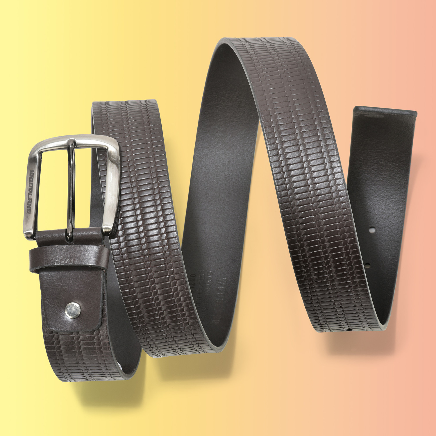 Image of WOODLAND Men Casual Brown Genuine Leather Belt