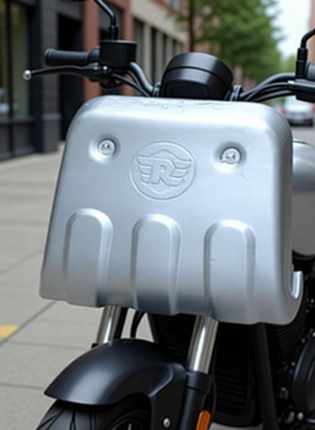 Image of Shreeji Accessorie Reborn Sum Guard Bike Engine Guard