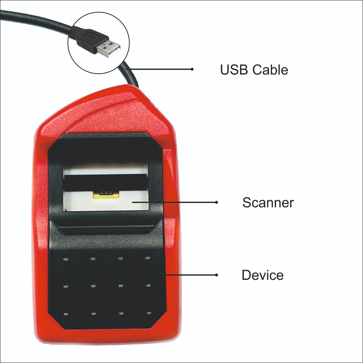 Image of Morpho Rd-L1-MSO Payment Device