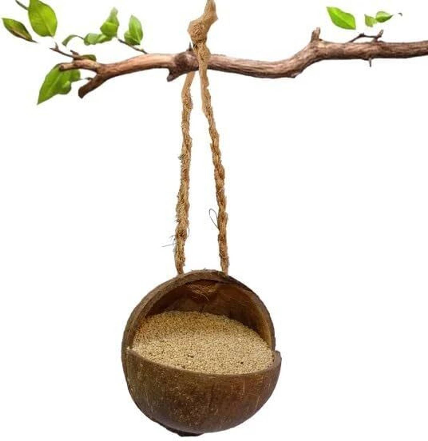 AMIJIVDAYA Natural Coconut Shell Bird Feeder | Eco-Friendly | Weather-Resistant Decor Platform Bird Feeder