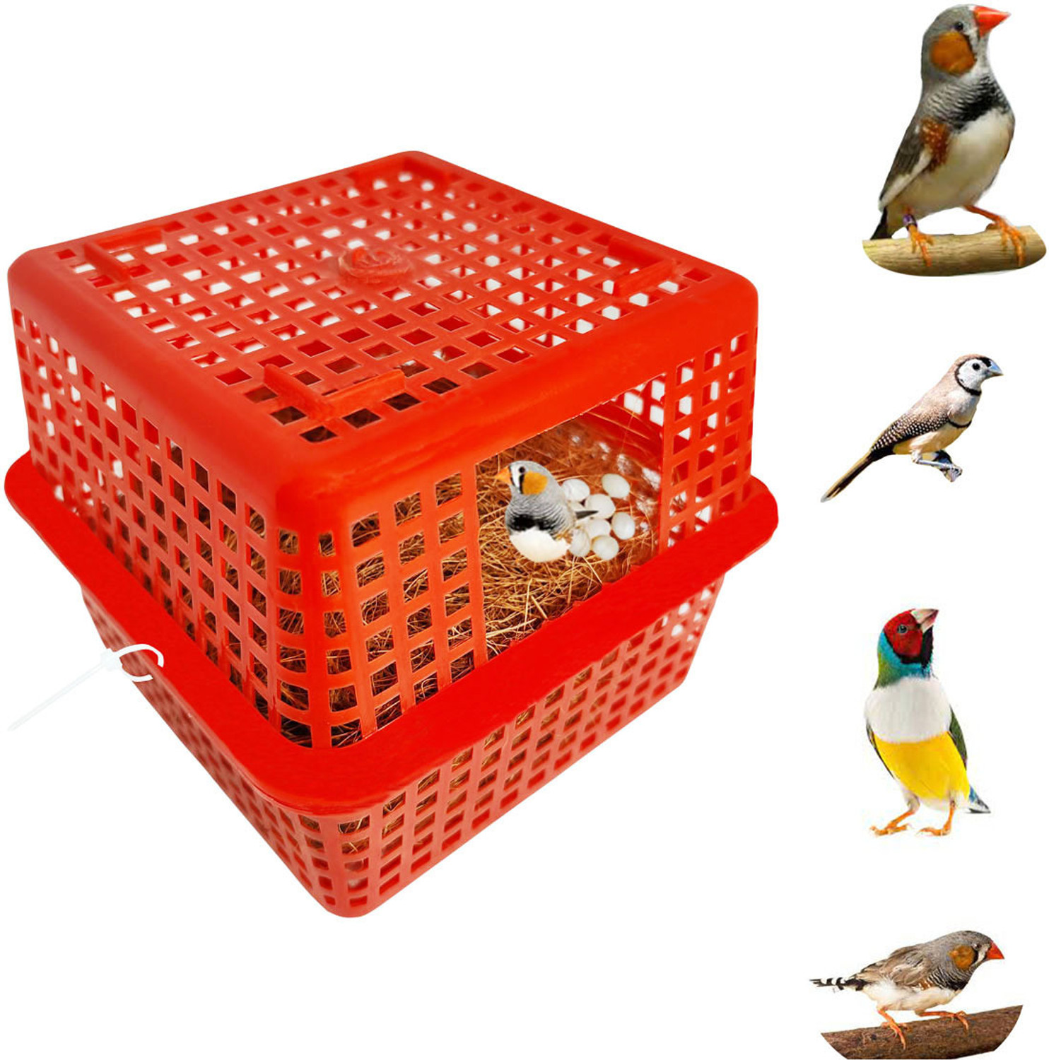 Image of Sky Birds Breeding Box Finches Sparrow Nest Basket,House for Finches (Pack Of 1) Bird House