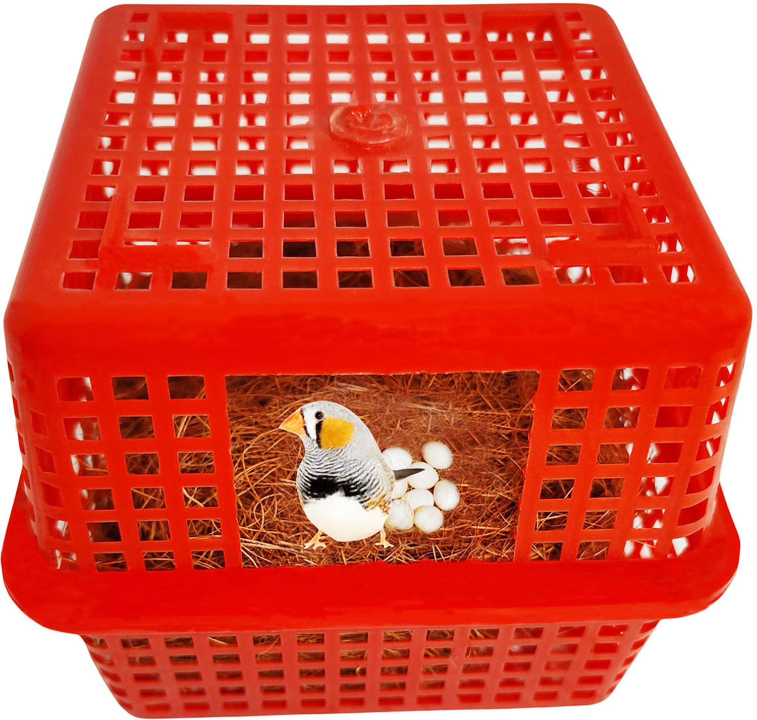 Image of Sky Birds Breeding Box Finches Sparrow Nest Basket,House for Finches (Pack Of 1) Bird House