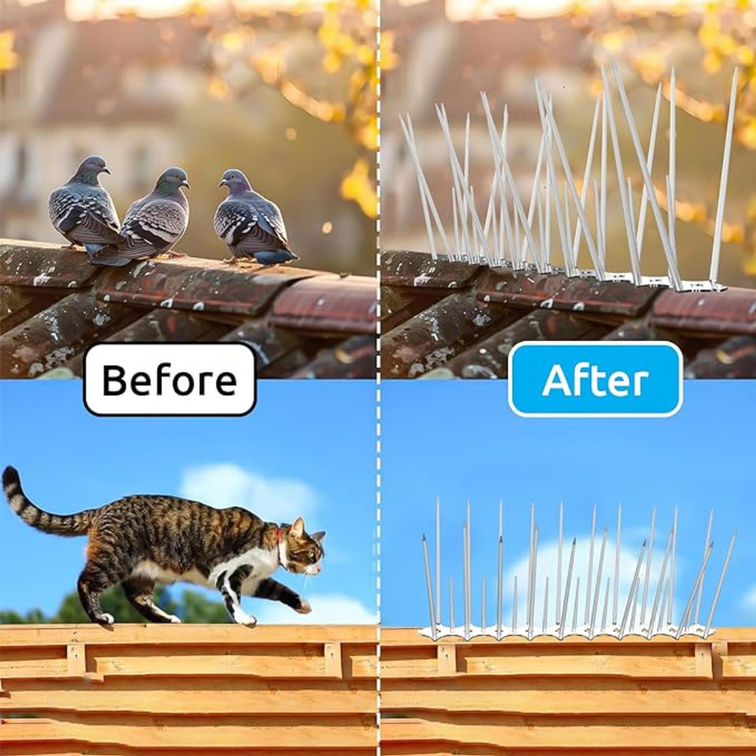 Image of PASS Bird Spike