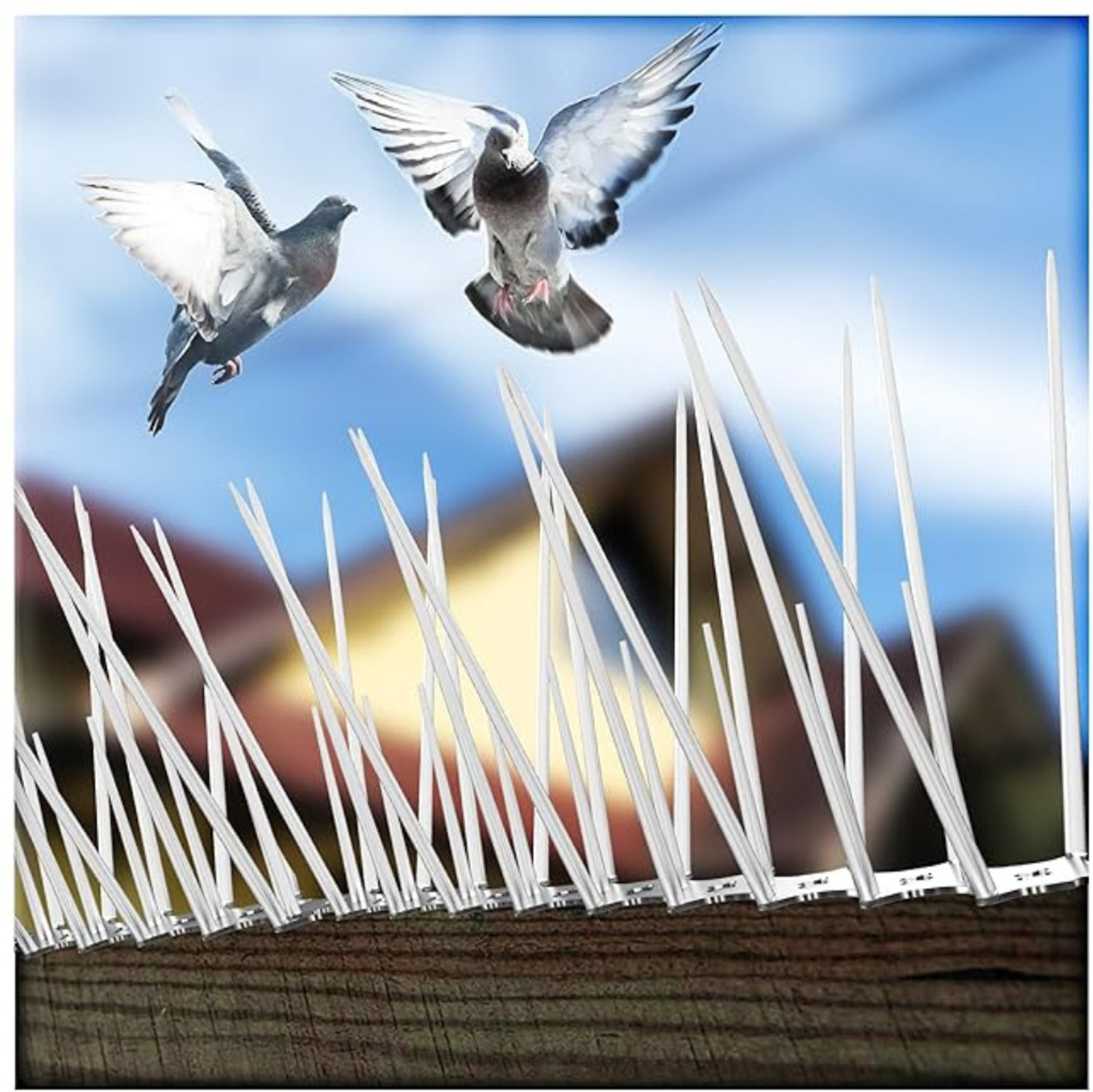 Image of PASS Bird Spike