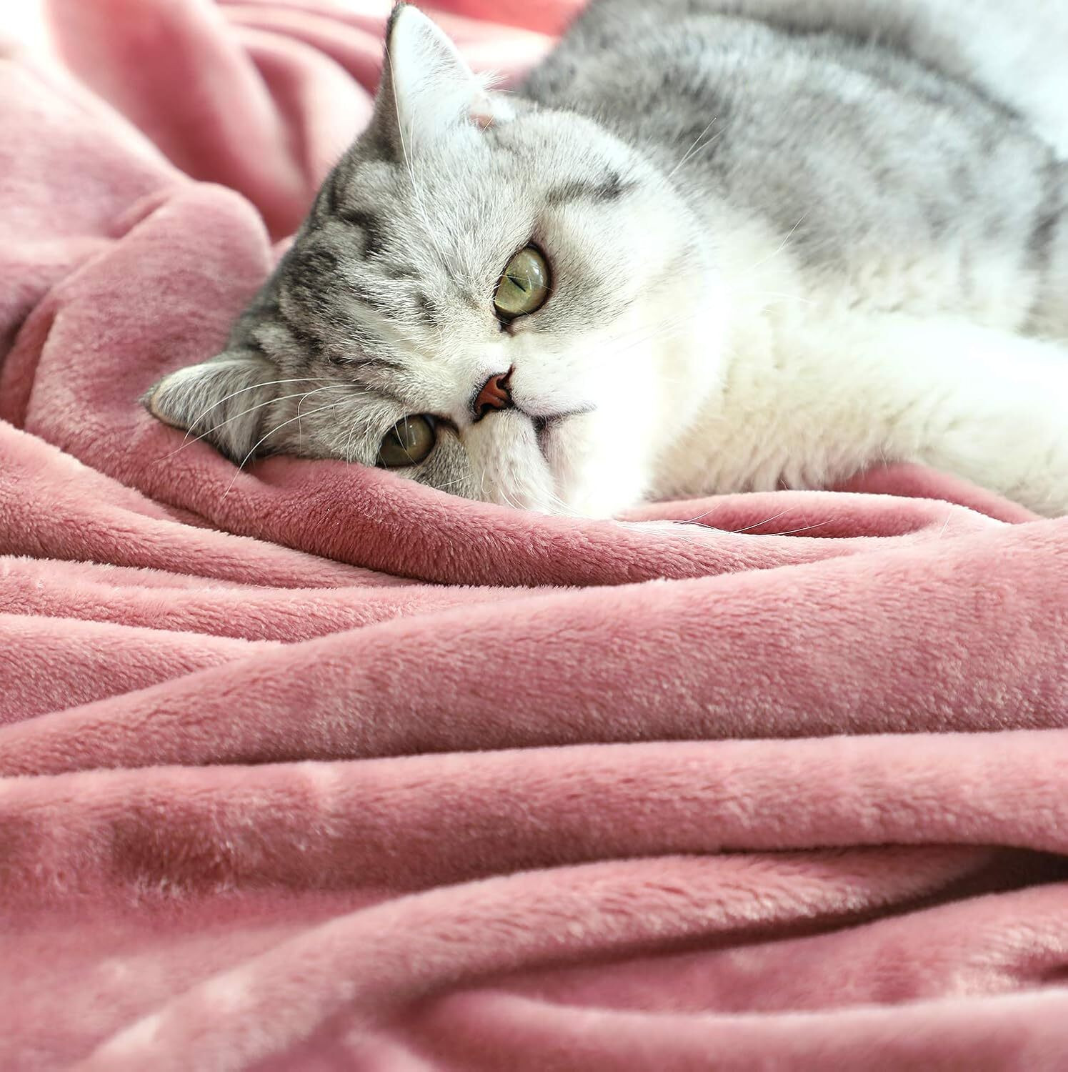 Image of AMBERBLISH HOMES Solid Double AC Blanket for Mild Winter