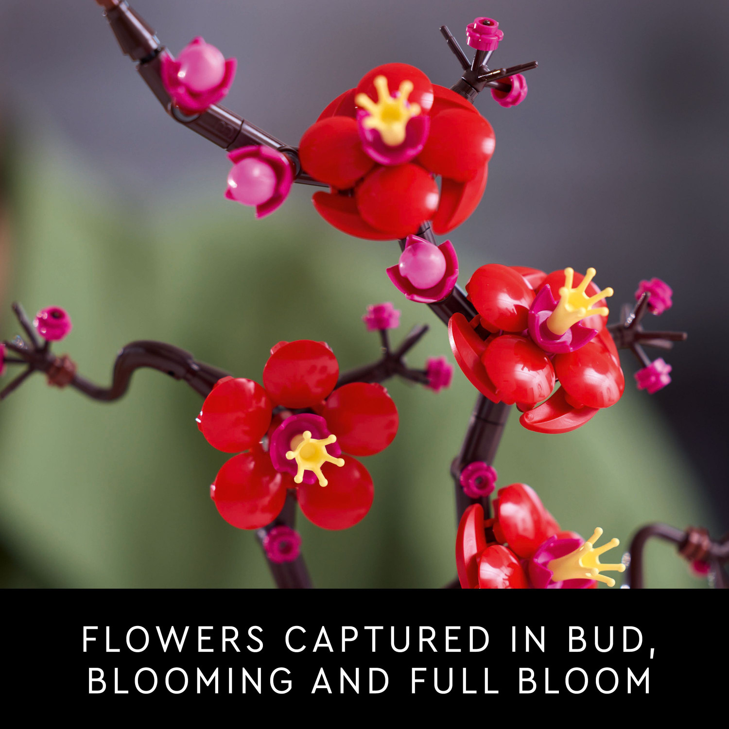 Image of LEGO Icons Plum Blossom Flower Decor Display Set 10369 (327 Pieces)