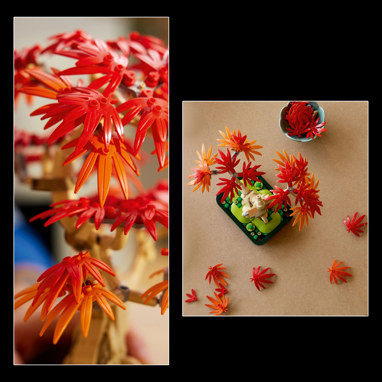 Image of LEGO Botanicals Japanese Red Maple Bonsai Tree Plant Decor 10348