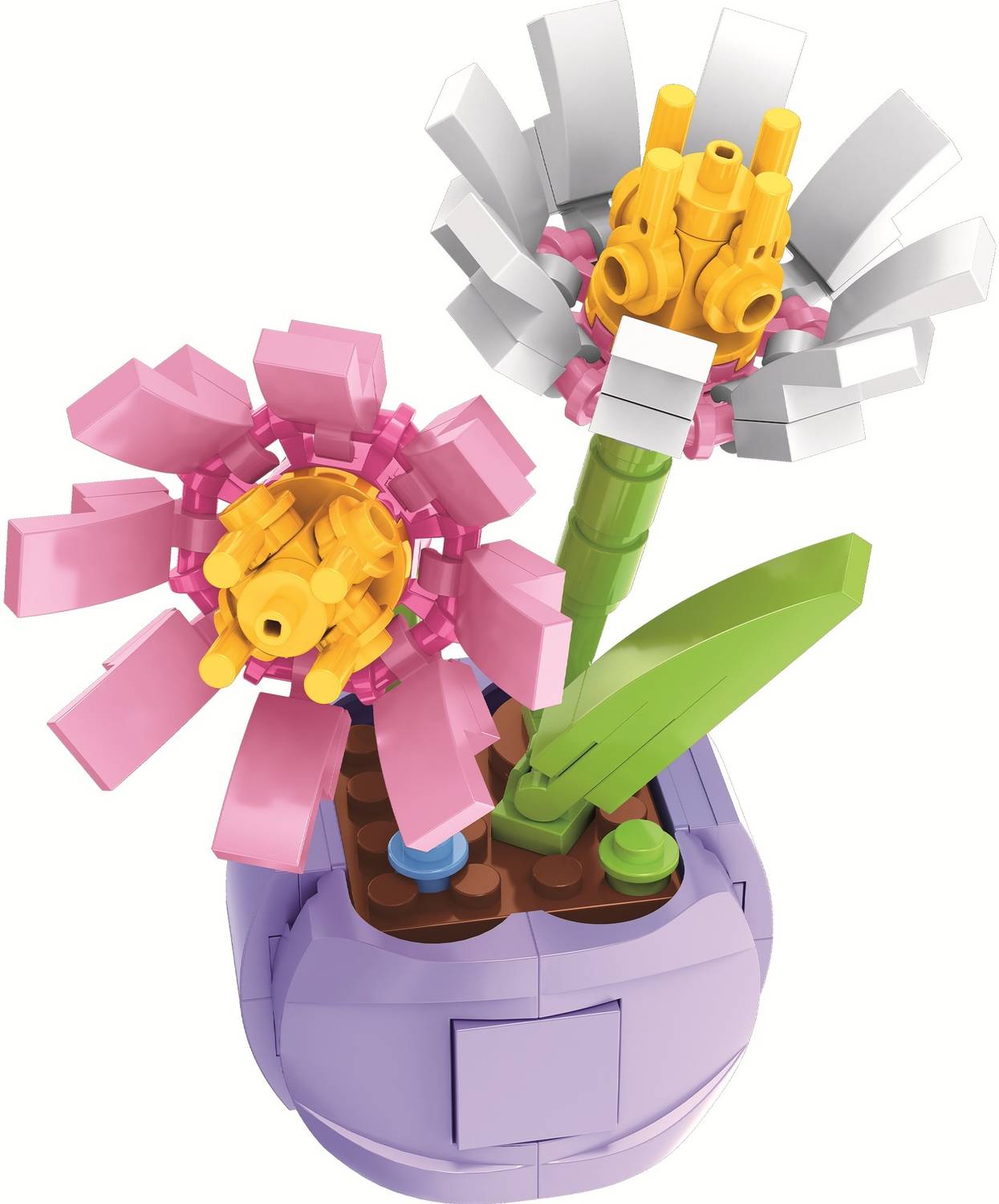 ThinkerPlace 8 in 1 Flowers (Galsang Flower) - 8 in 1 Flowers