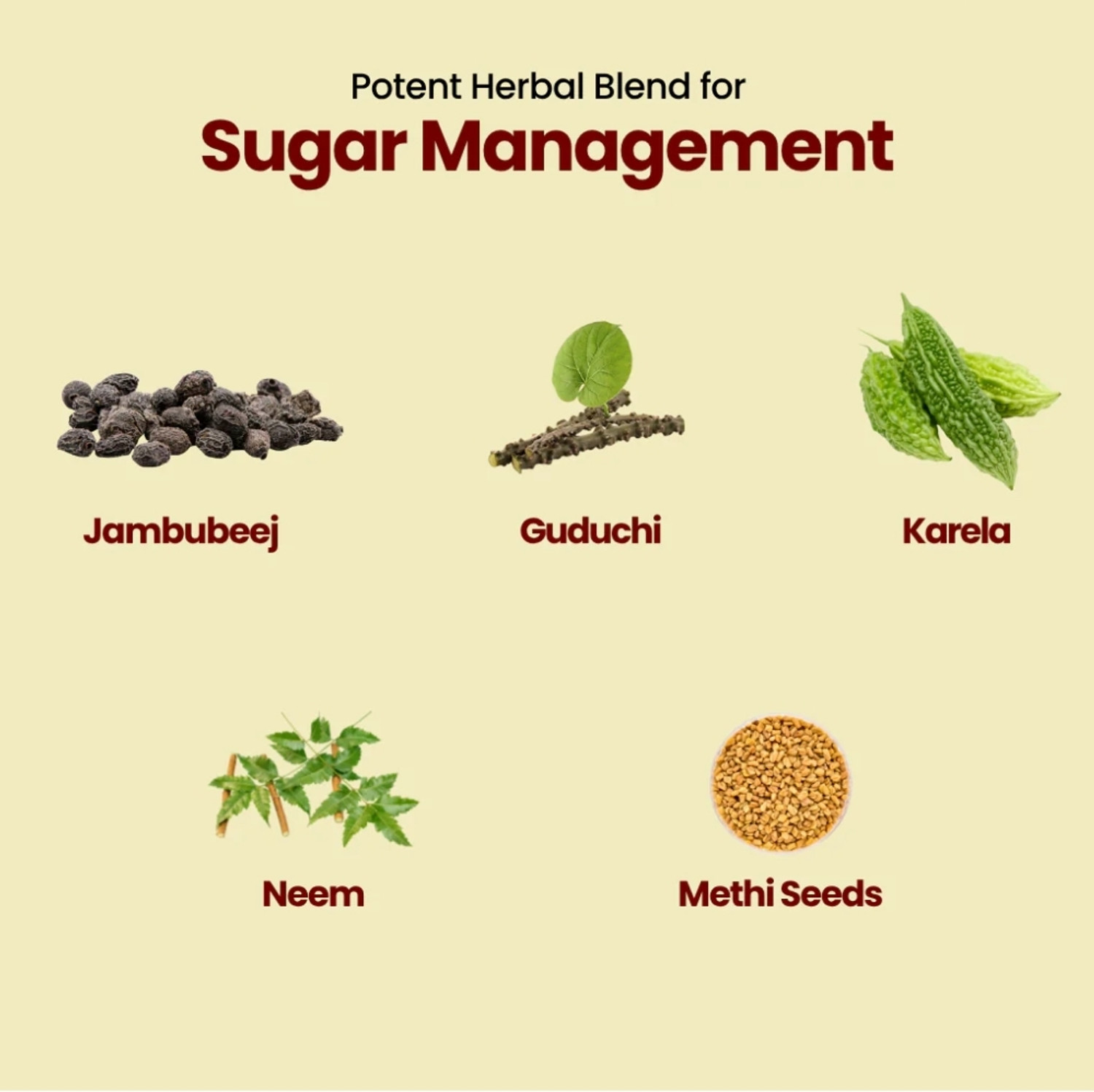 Image of Dr.TrueSkin Sugar Churna for Aiding in Healthy Blood Sugar Management E02 Powder