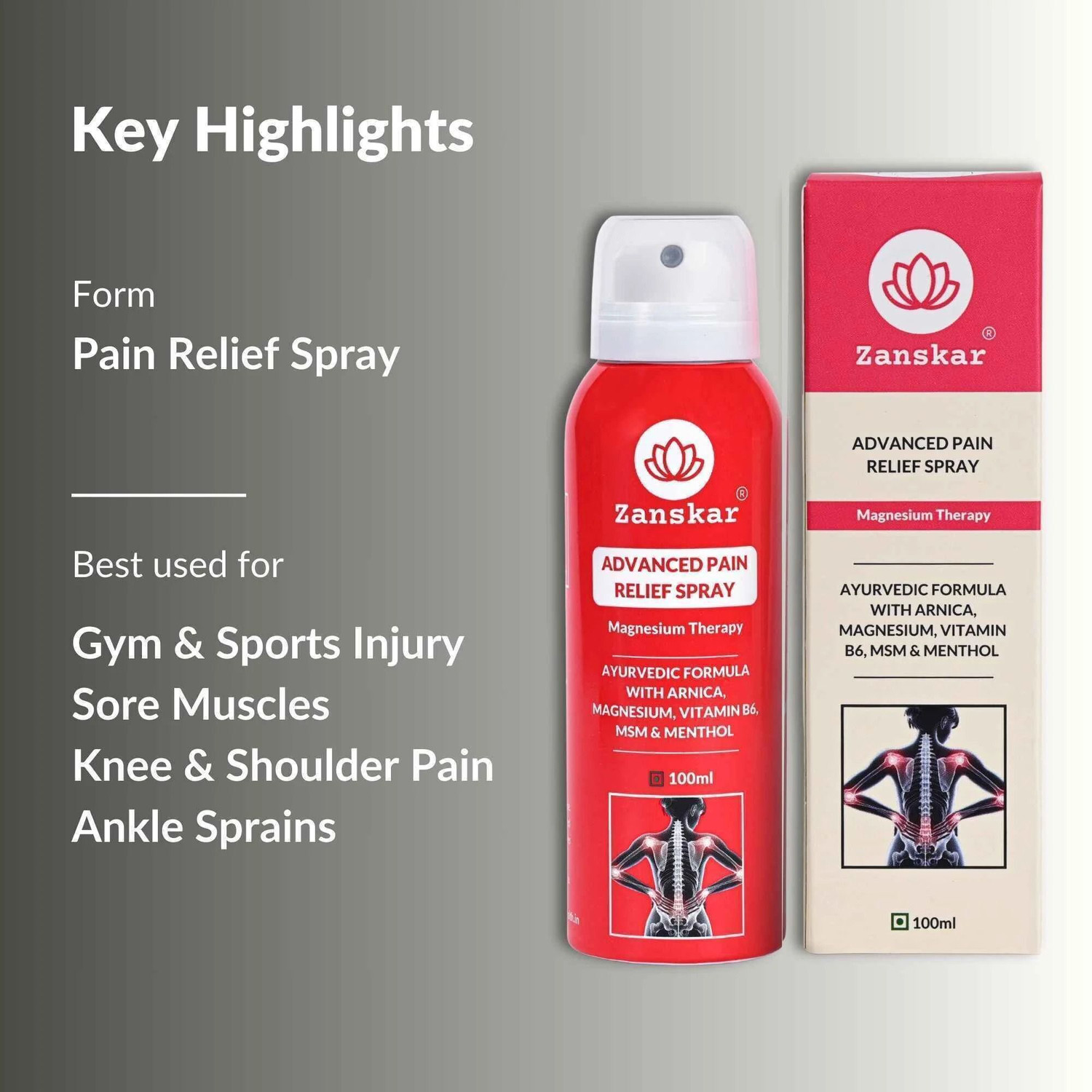 Image of Zanskar Advanced Pain Relief (Pack of 2) Spray