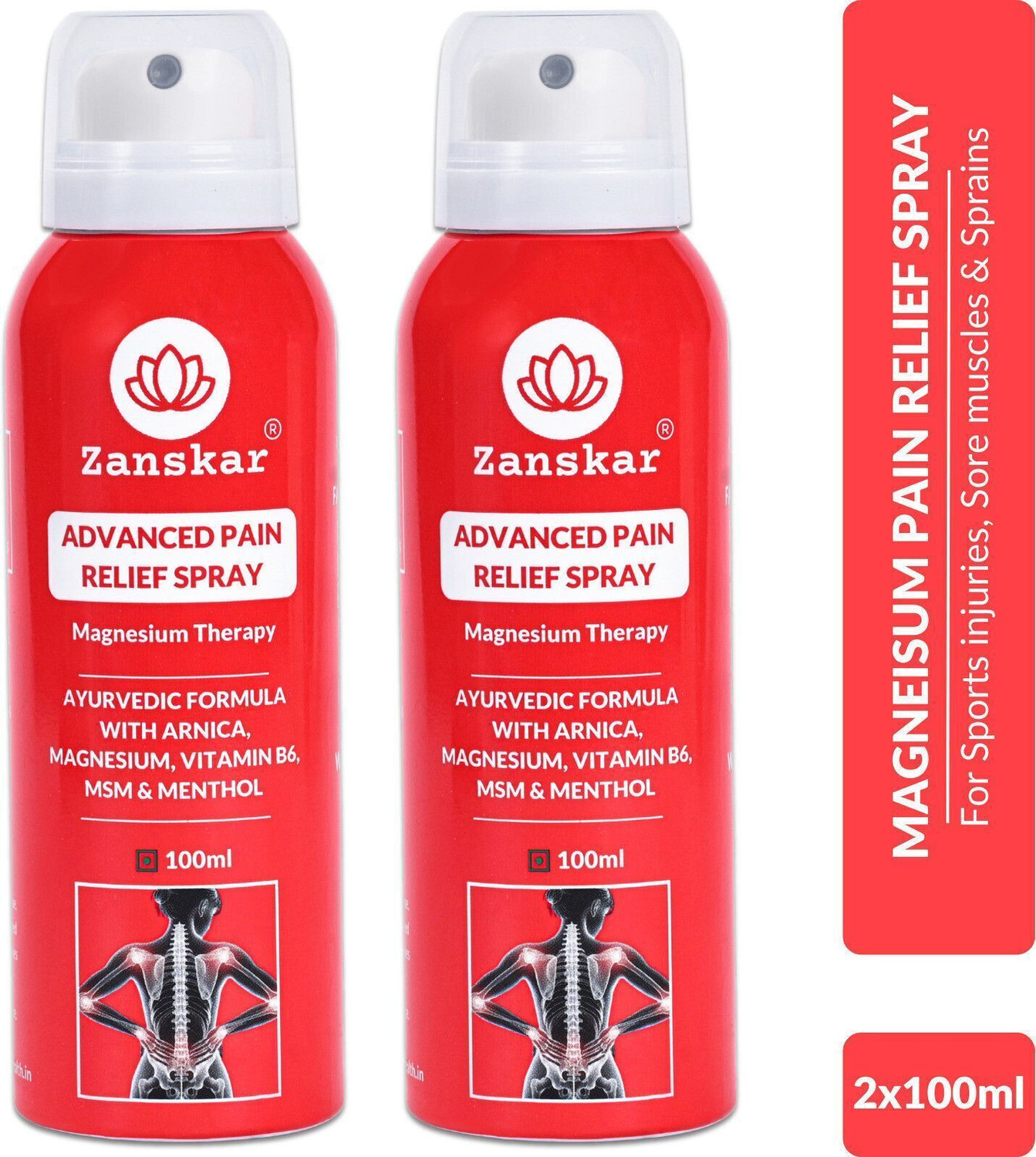 Image of Zanskar Advanced Pain Relief (Pack of 2) Spray