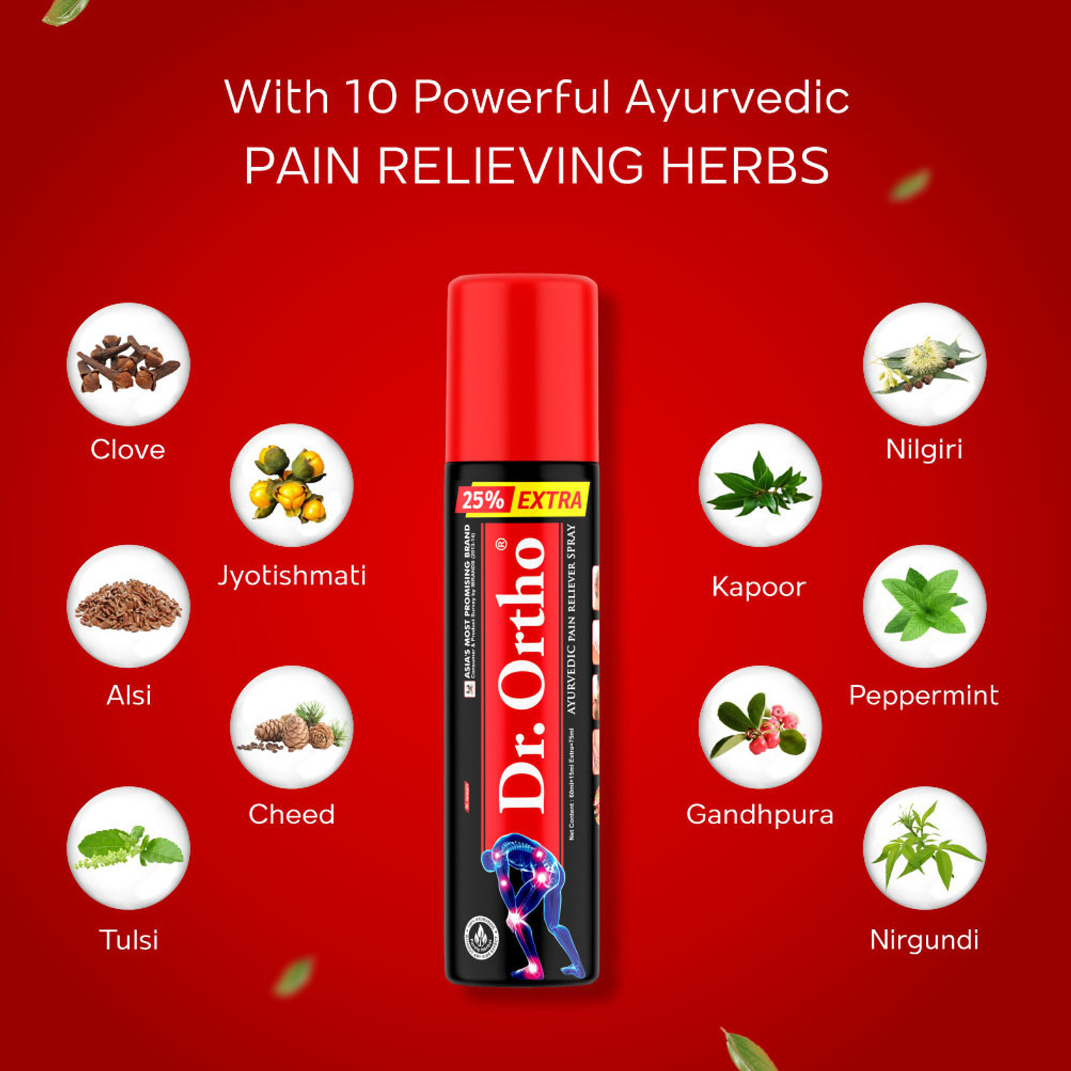 Image of Dr. Ortho Pain Relief 75ml(pack of 2) Spray