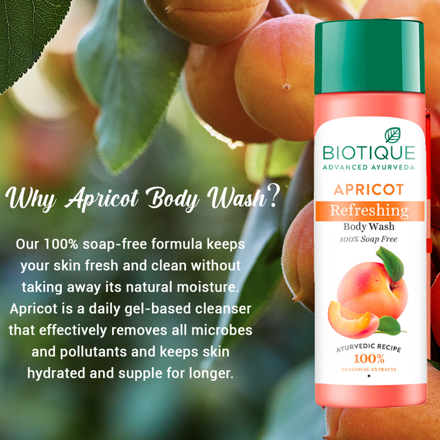 Image of BIOTIQUE Face & Body Care Combo Apricot Body Wash & Honey Gel Foaming Face Wash