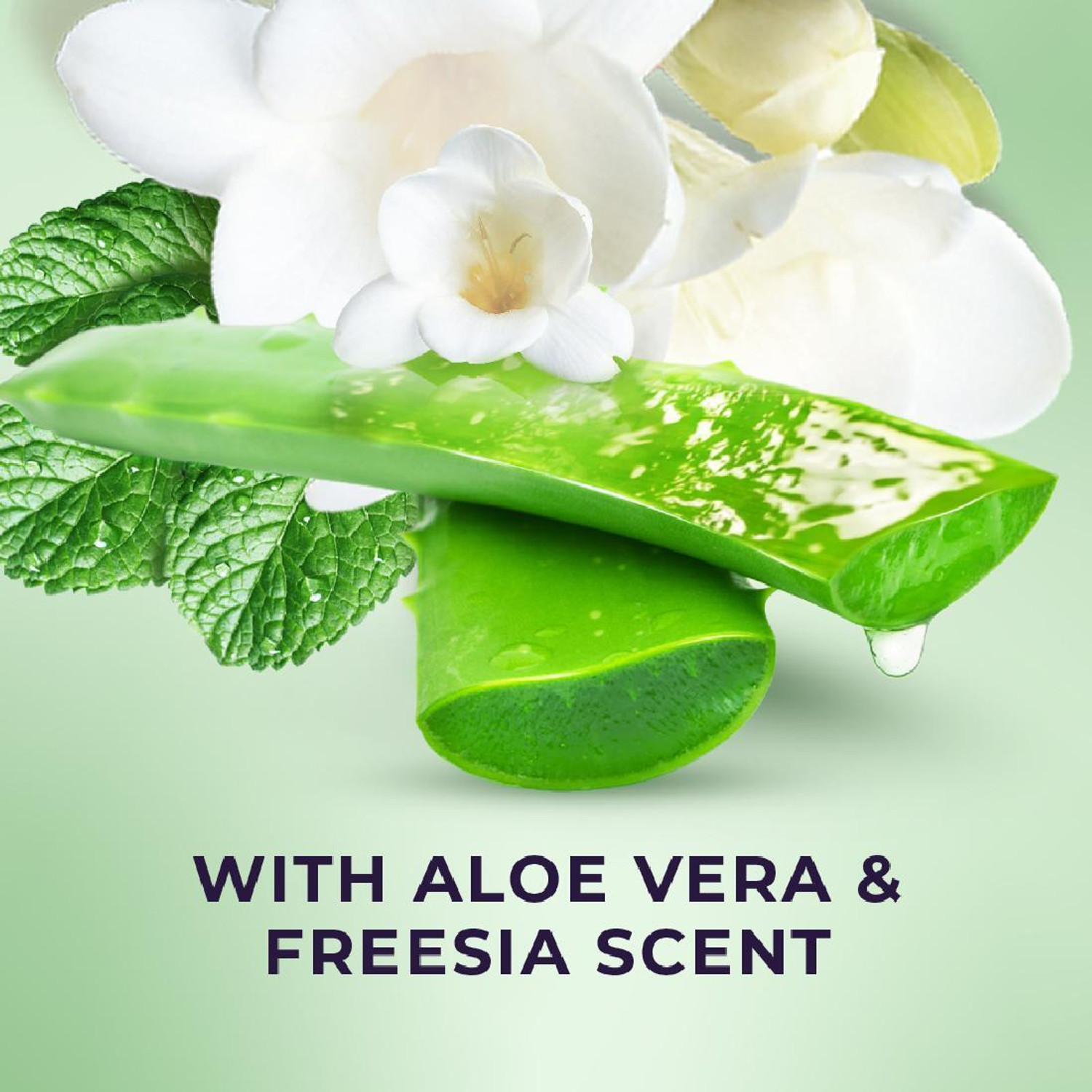 Image of LUX Fresh Aloe Vera & Freesia Scent Body Wash