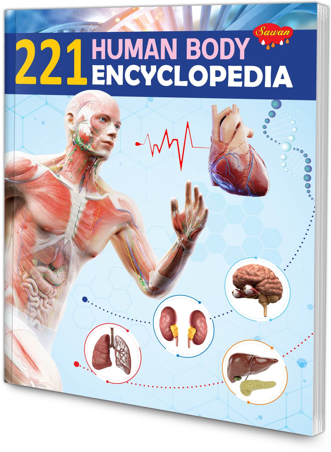221 Human Body Encyclopedia book for kids : Educational story for kids, Kid's encyclopedia book, Learning book for kids.