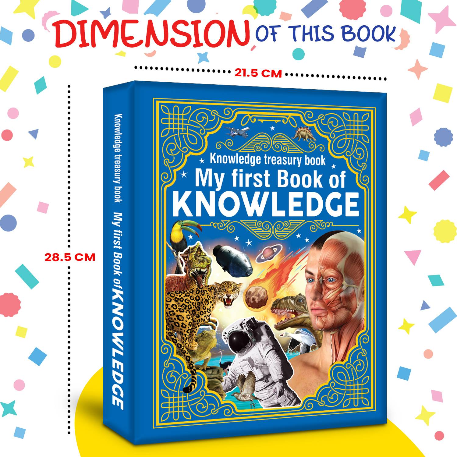 My First Book of Knowledge - Knowledge Treasury Book 320pp