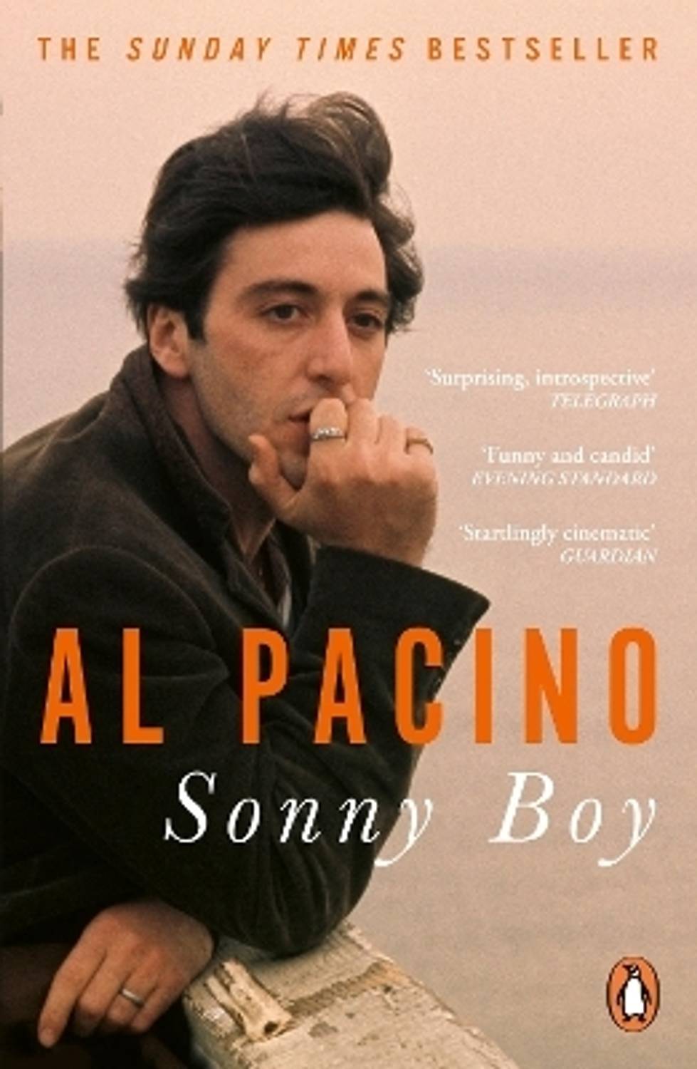 C Tech Sonny Boy ソニーボーイ　アンプシミュレーター Sonny Boy: Buy Sonny Boy by Pacino Al at Low Price in India