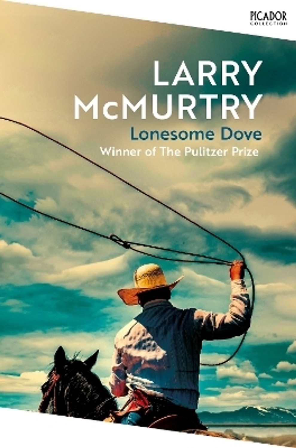Image of Lonesome Dove