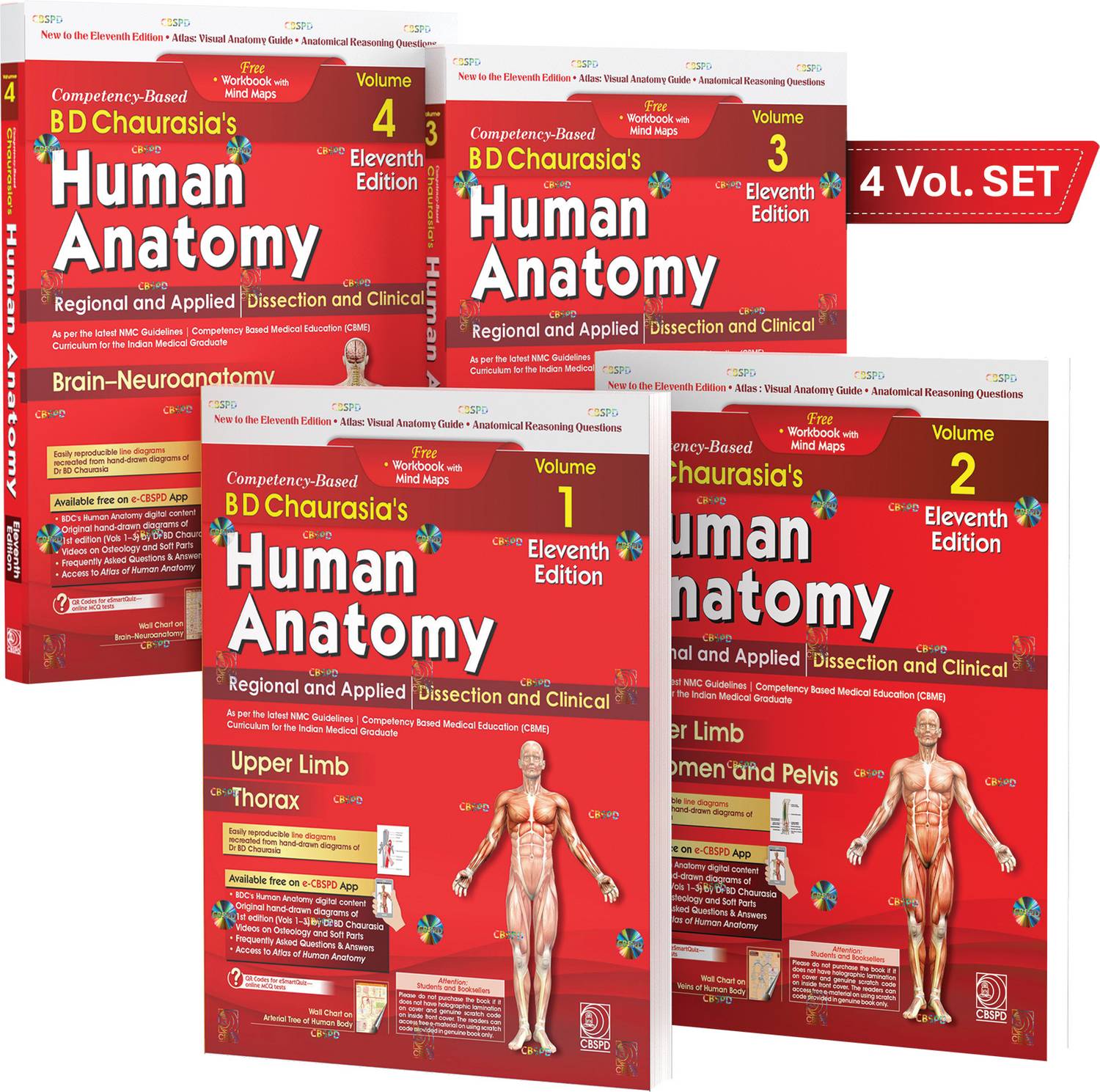 CBS BD Chaurasia's Human Anatomy 11th Ed. 4 Vol Set - Image 1