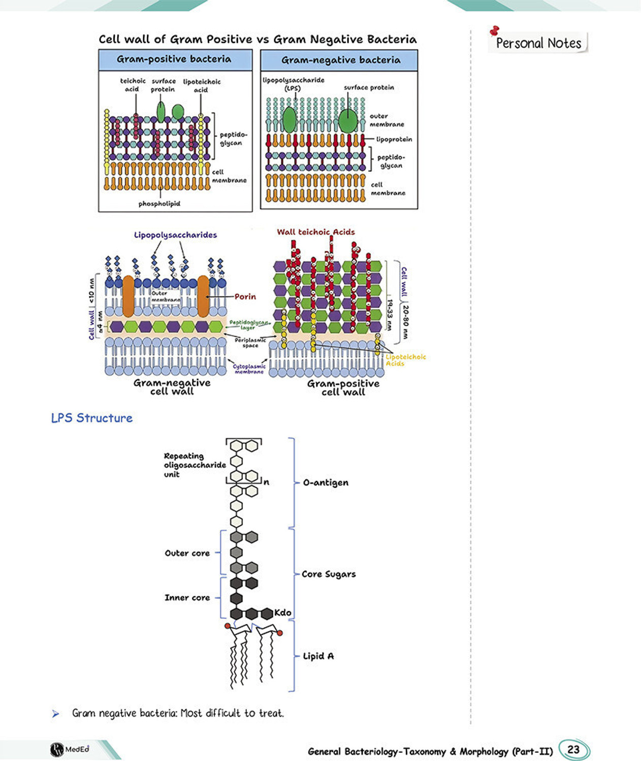 Image of PW MedEd 3.0 MBBS 2nd Prof Year Notes | Microbiology, Pathology, Pharmacology Combo