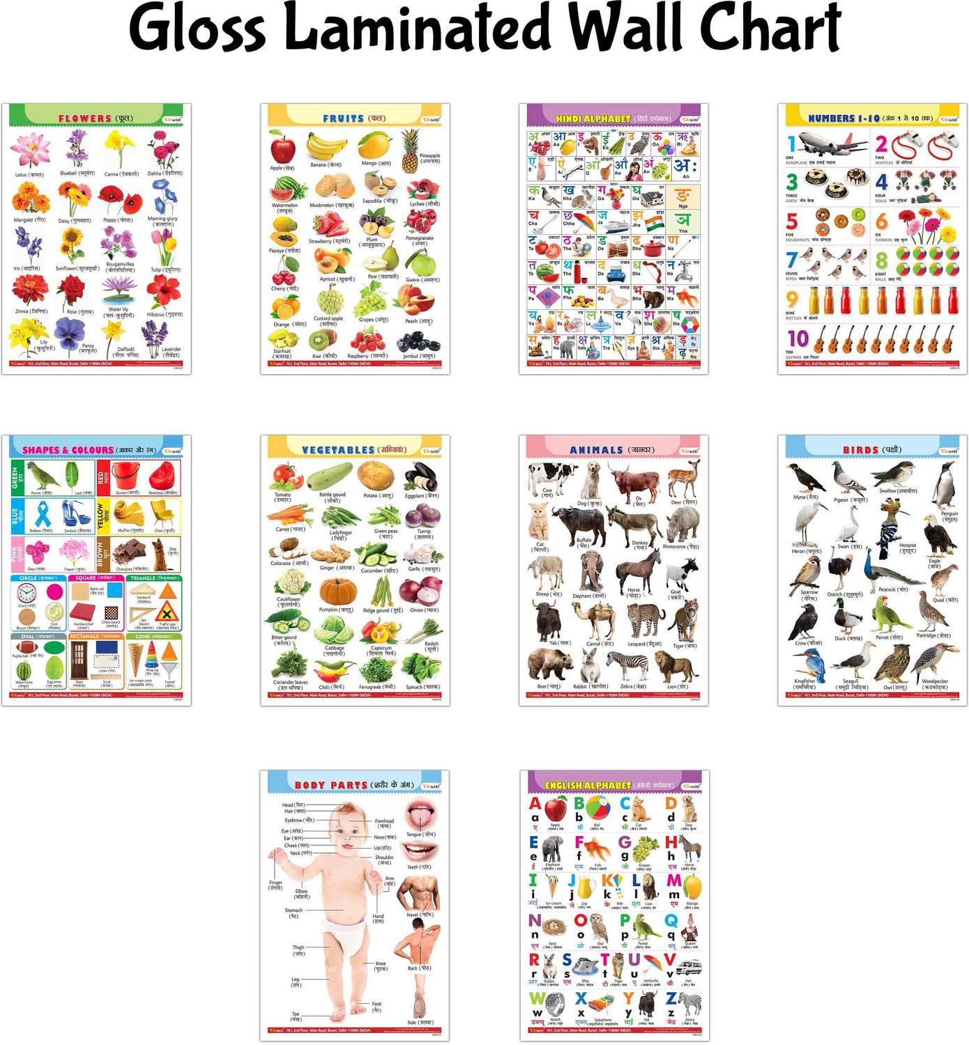 Toddler Learning English-Hindi Poster Pack : Alphabet, Fruits