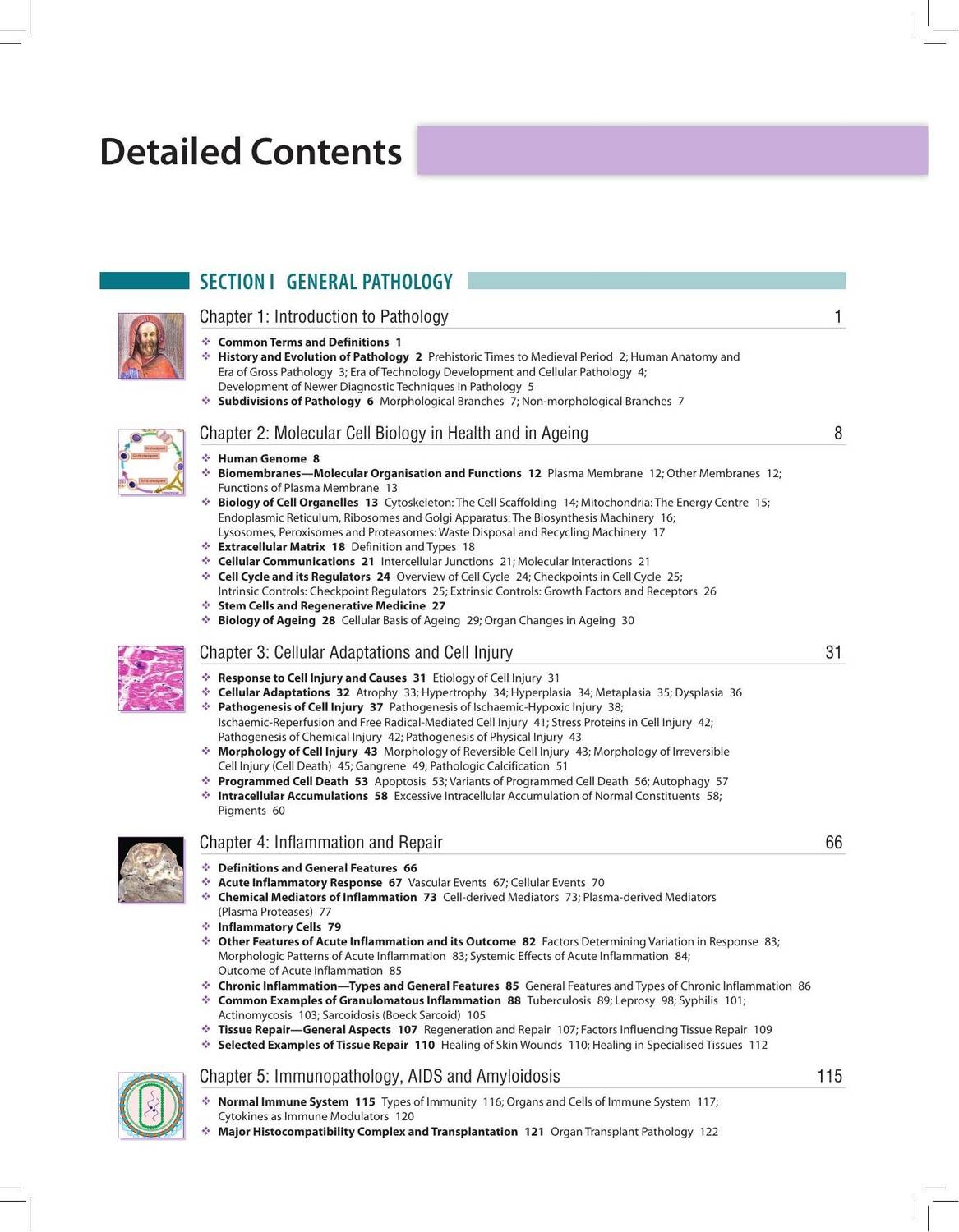 Jaypee Harsh Mohan's Textbook of Pathology, 9/E for MBBS 2nd Year - Image 3