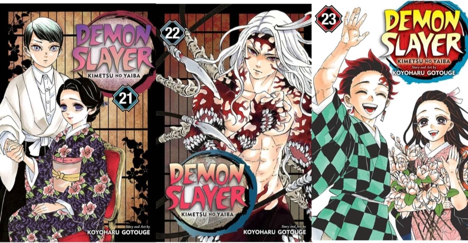 Demon slayer vol 21,22 and 23: Buy Demon slayer vol 21,22 and 23