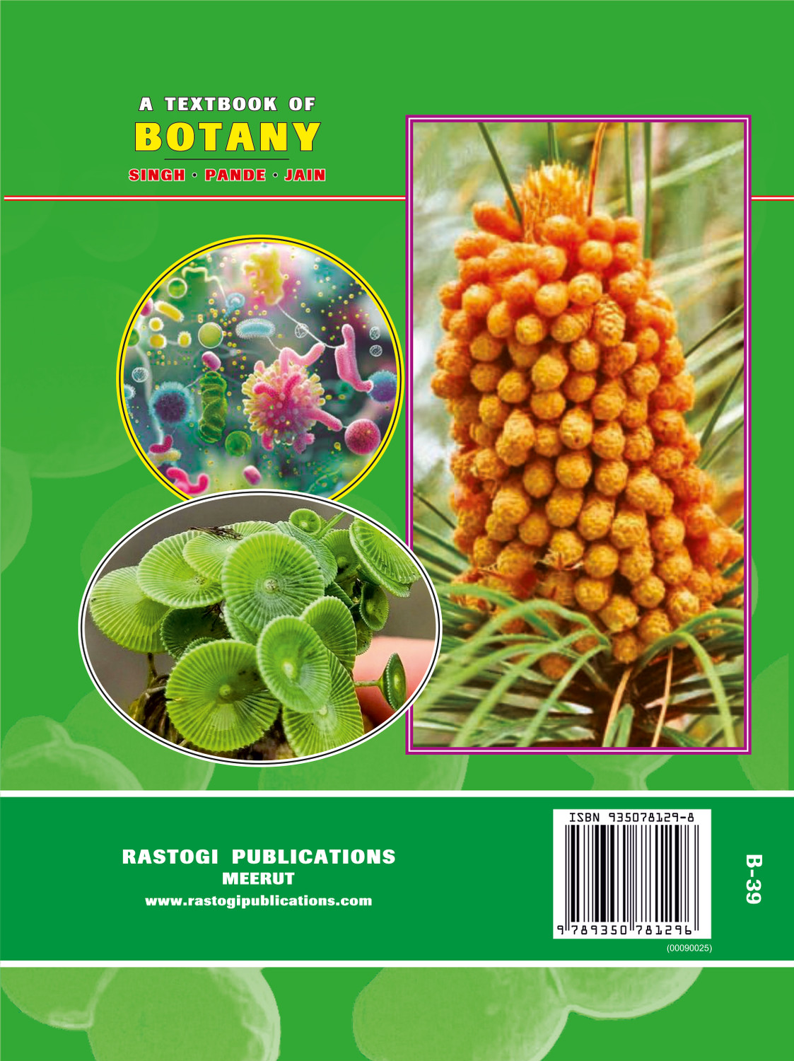 Image of A Text Book of Botany - textbook of botany
