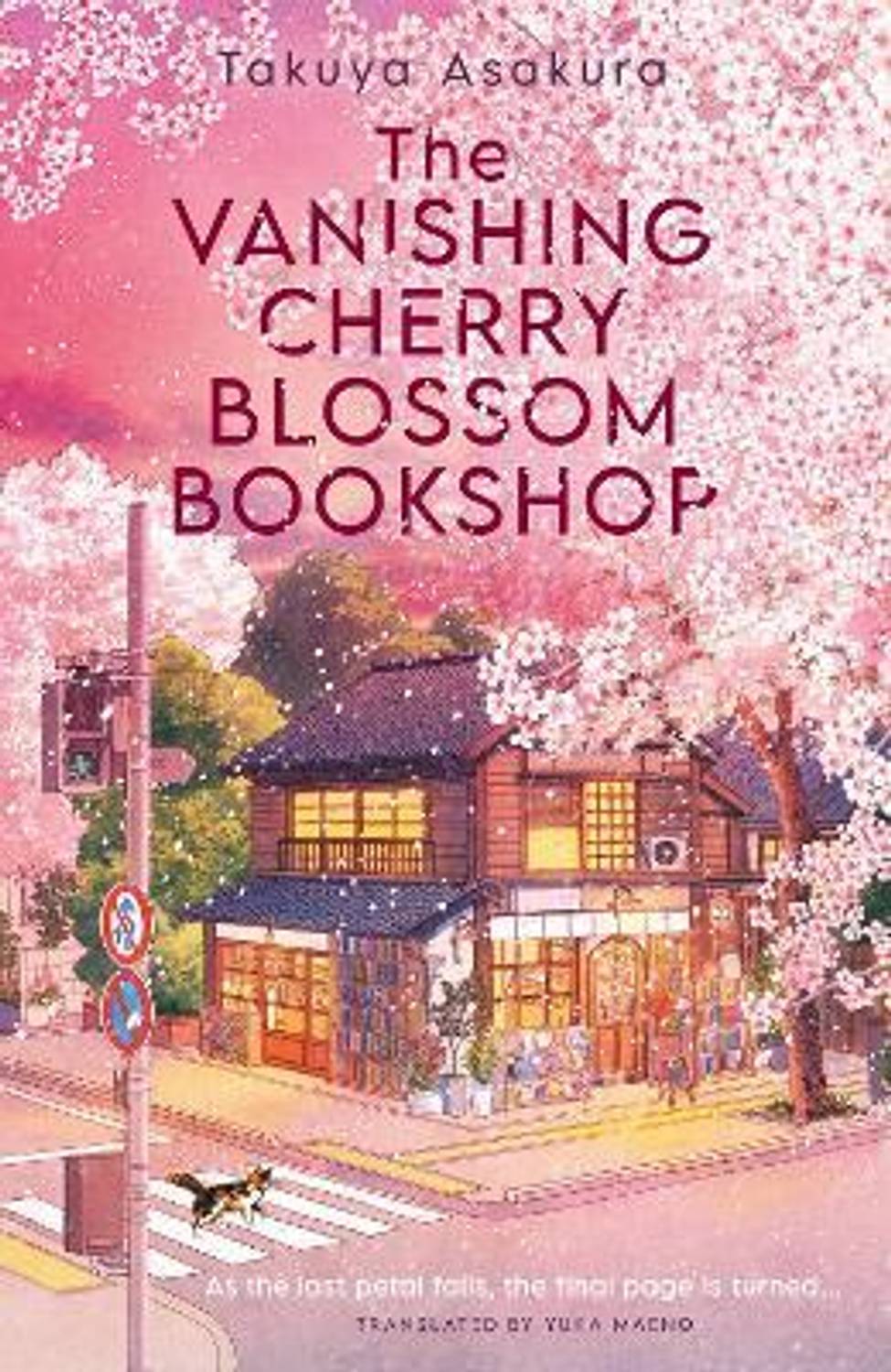 the vanishing cherry blossom