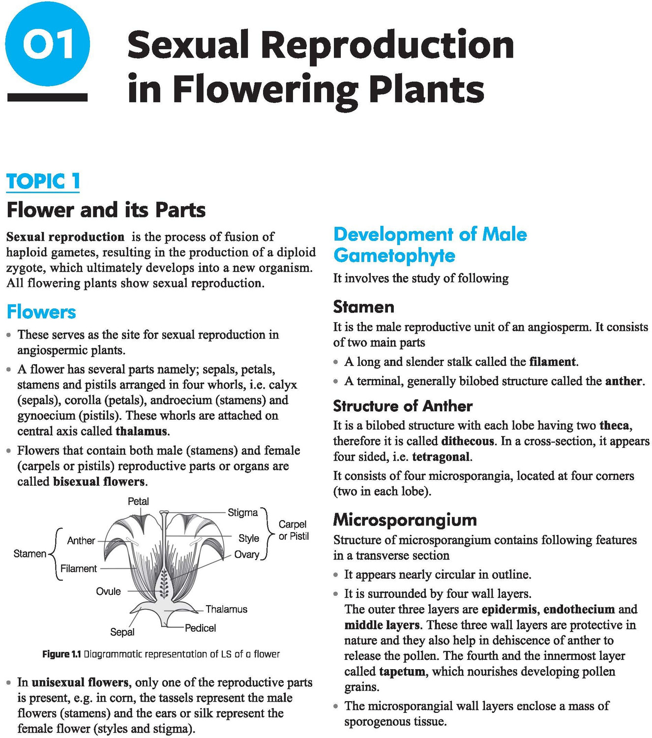 Image of (Old Edition) Arihant CBSE Chapterwise Question Bank 2025-2016 for Class 12 Biology | Syllabus | Includes Solved Papers, Sample Papers, and CBSE Marking Scheme