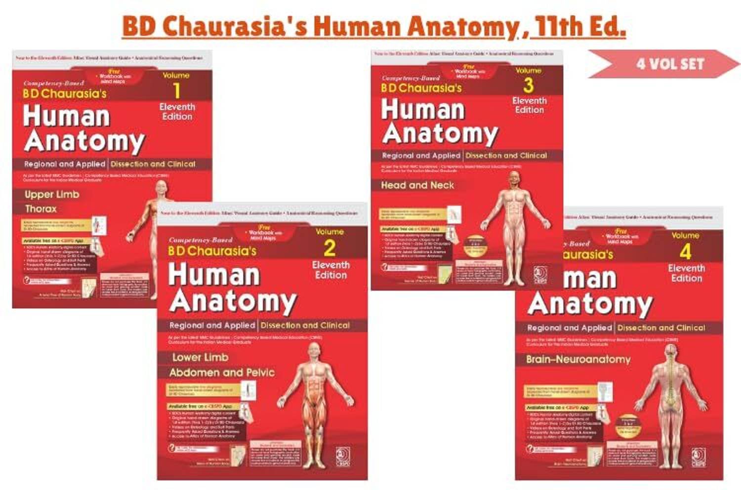 CBS BD Chaurasia's Human Anatomy 11th Ed. 4 Vol Set - Image 3