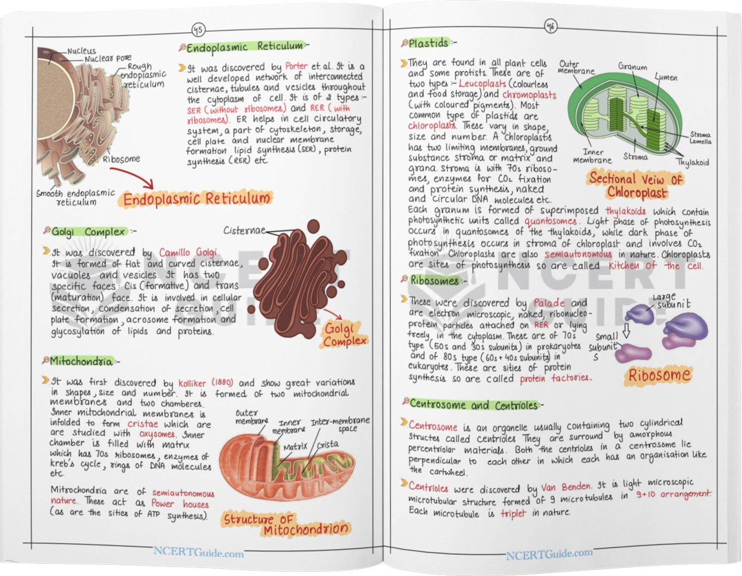 Image of NEET Biology Short Notes | Handwritten & Colorful | Quick Revision Book - NCERT Based NEET Biology Chapter-wise Notes with Diagrams, Flowcharts & Key Concepts for Fast Revision