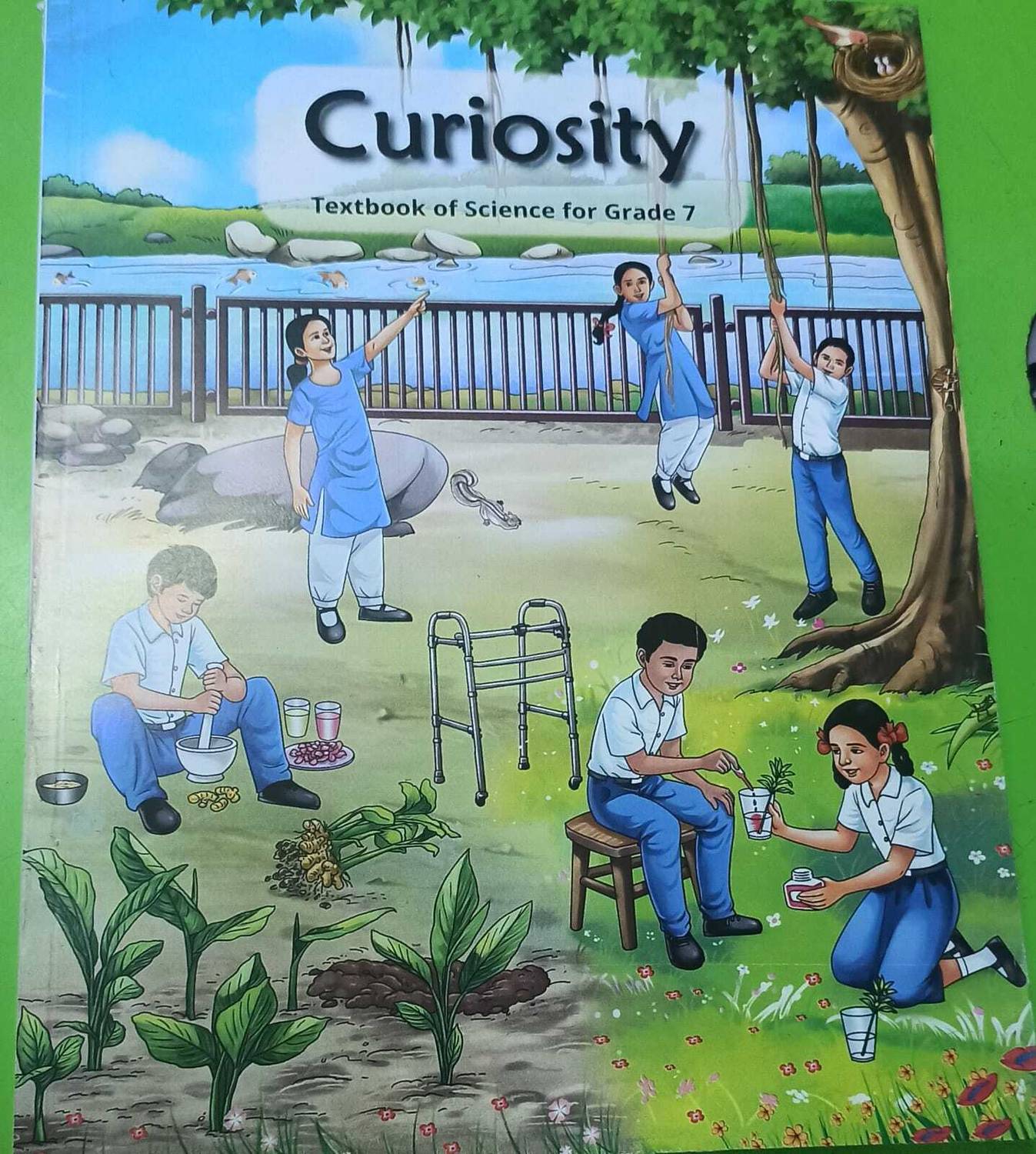 7th ncert curiosity