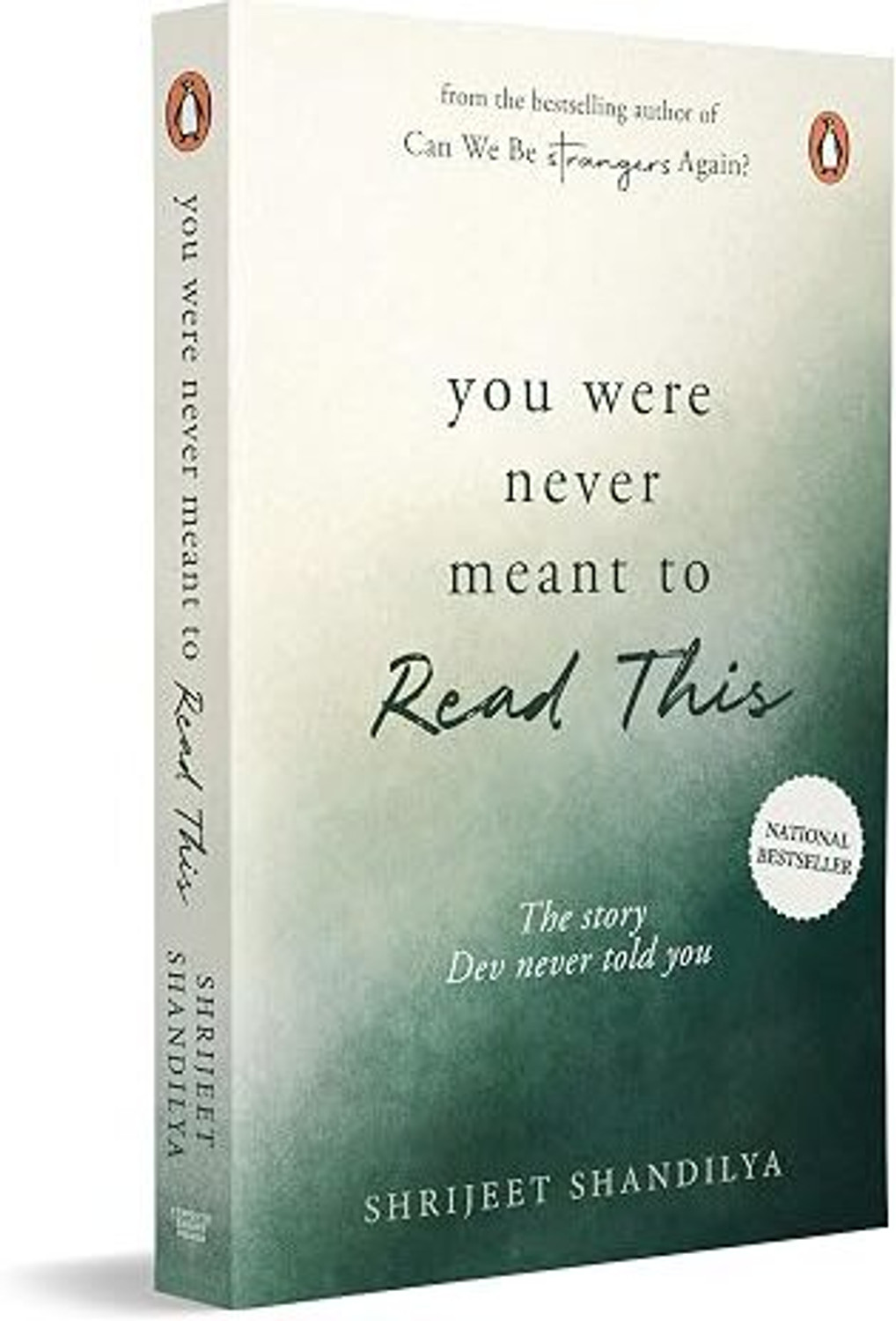 Image of You Were Never Meant To Read This