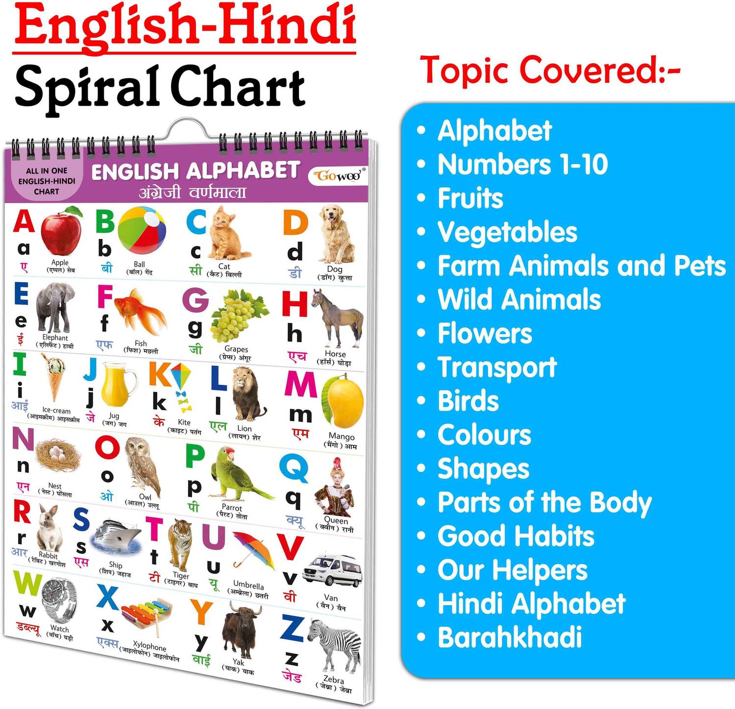 Children's educational Chart collection : My First ALL IN ONE SPIRAL CHART ENGLISH-HINDI Learning Chart for preschoolers, Educational picture Chart for toddlers With 16 Topics