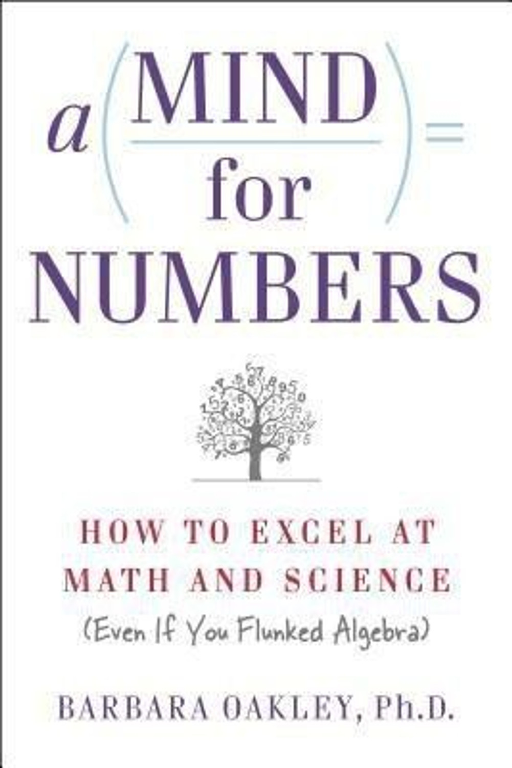 Image of A Mind for Numbers