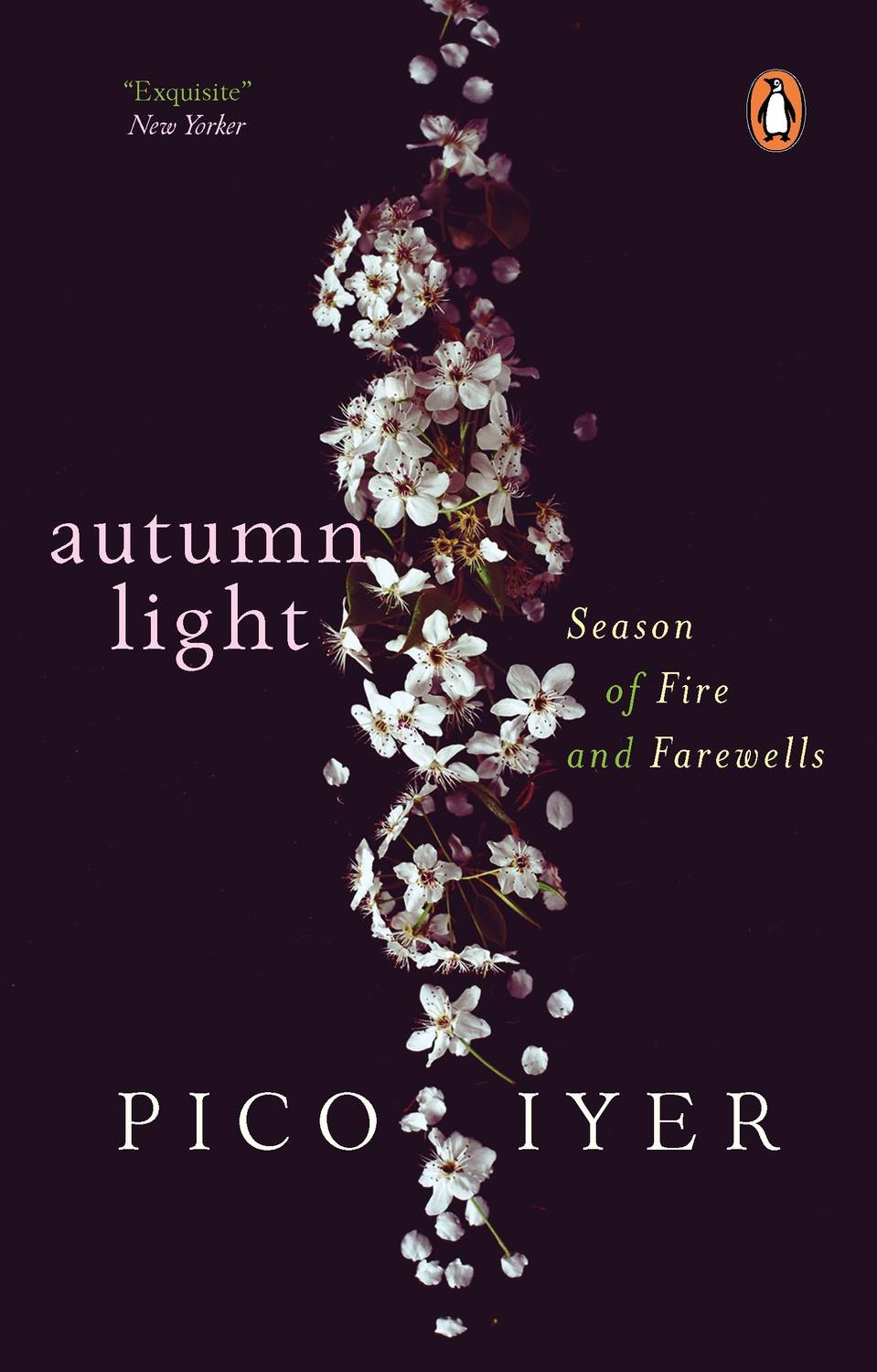 Autumn Light