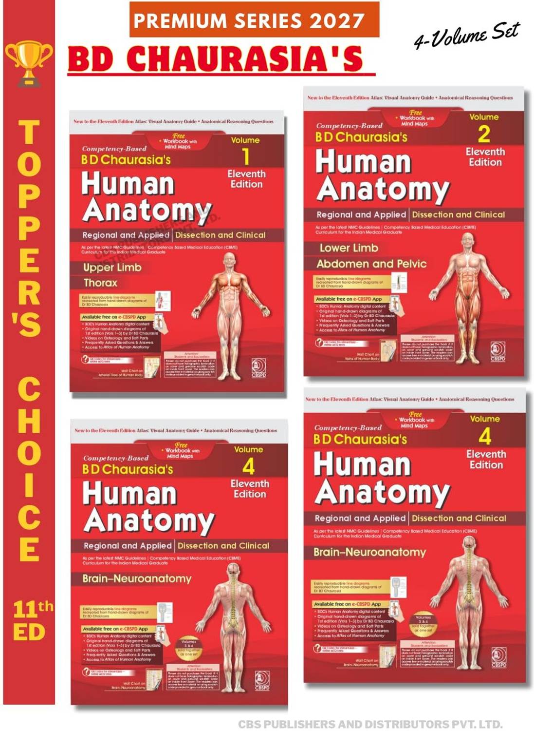 CBS BD Chaurasia's Human Anatomy 11th Ed. 4 Vol Set - Image 2