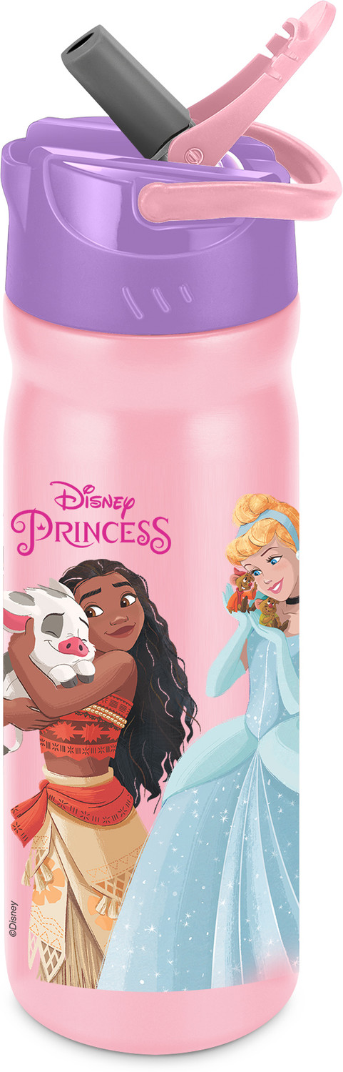 Image of MILTON Disney Max 600 Sipper Stainless Steel 500 ml Water Bottle ISI Certified, Pink 500 ml Stainless Steel Bottle