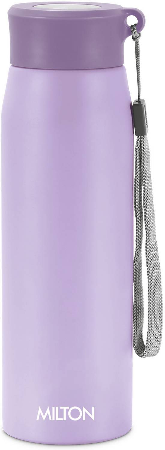 MILTON Handy 650 660 ml Stainless Steel Bottle